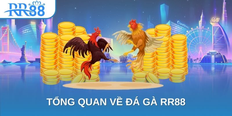 Tổng quan về đá gà RR88